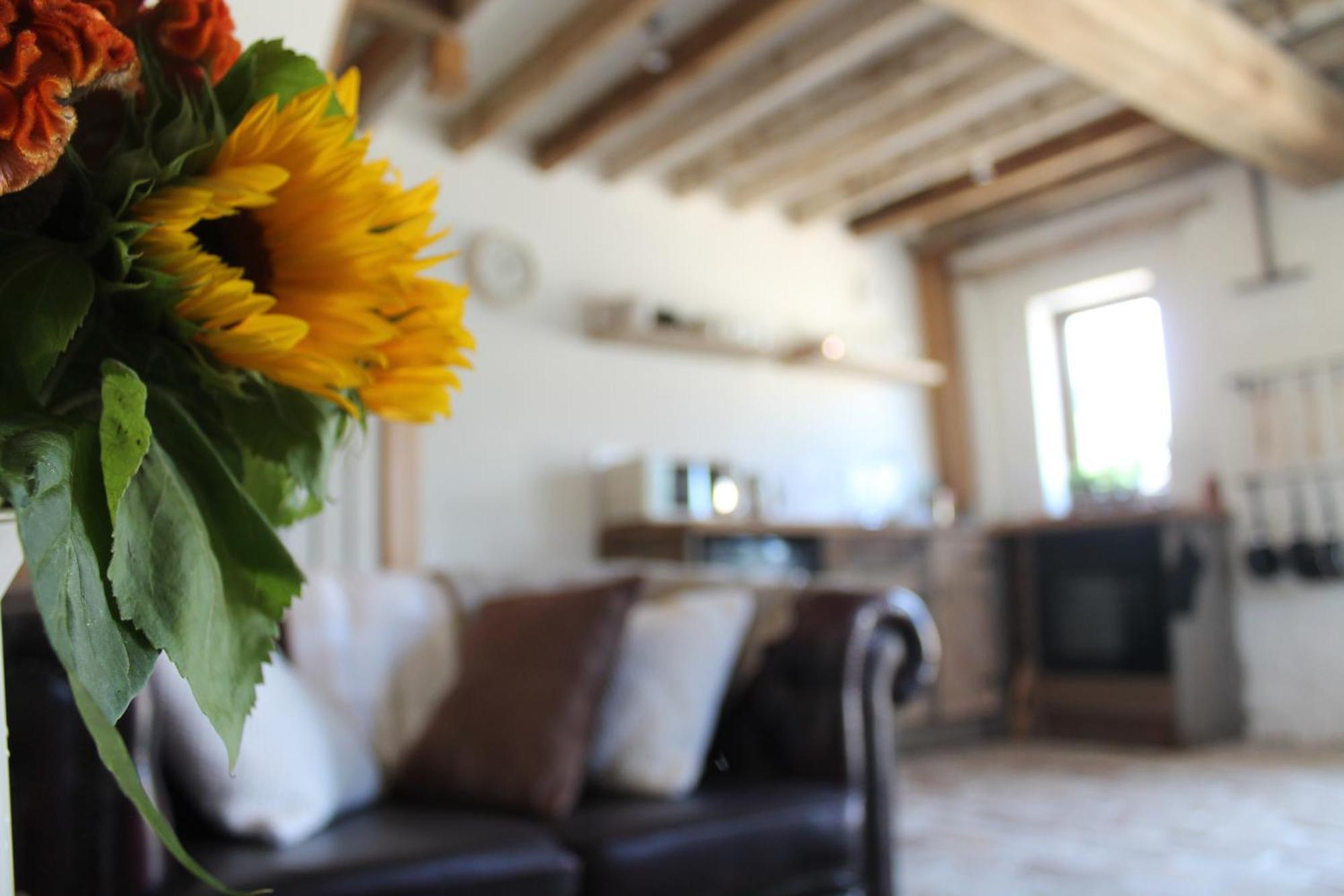 The Dovecote - Unique Self-Contained 1Bed Renovated Barn Villa แซฟฟรอนวอลเดน ภายนอก รูปภาพ